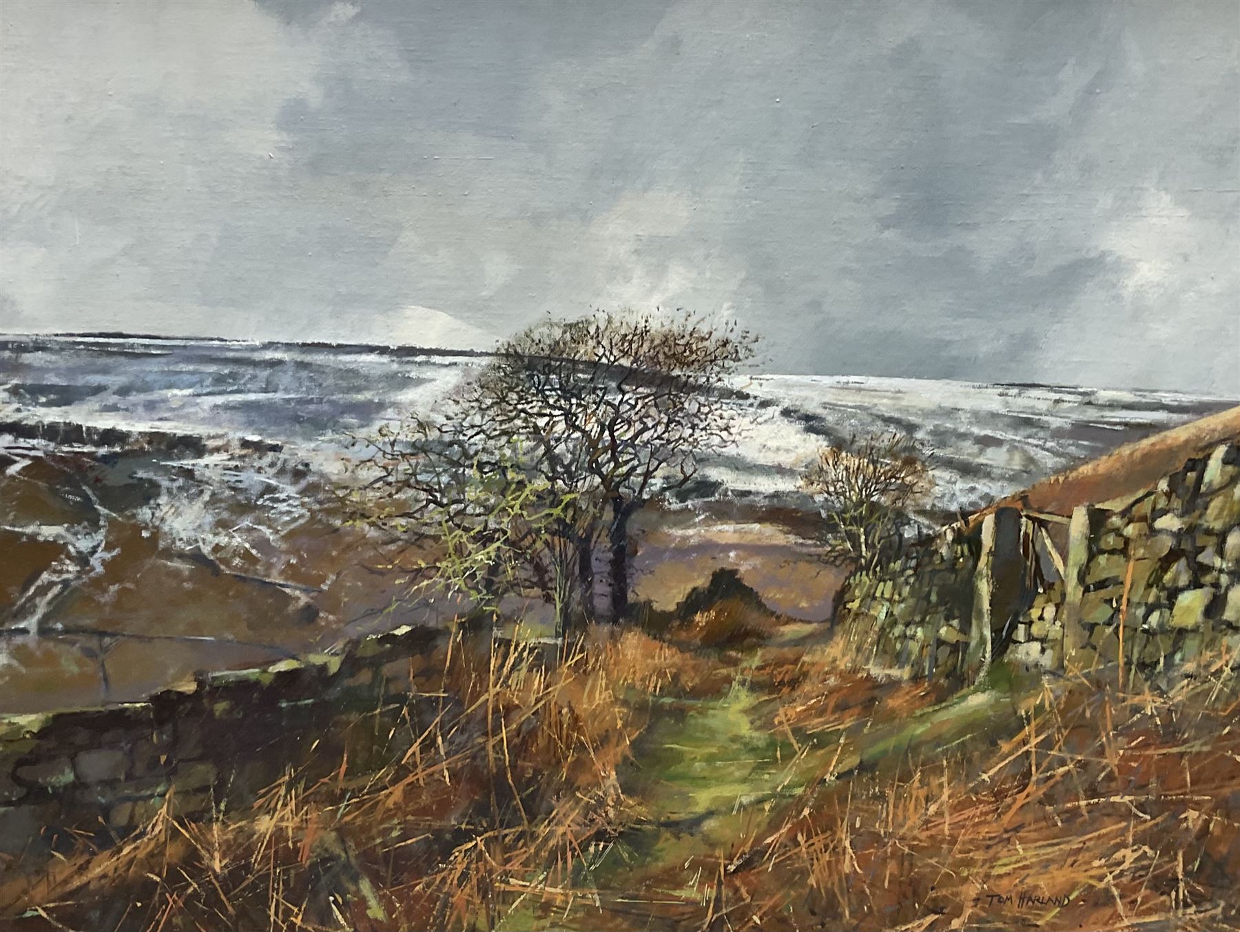 Tom Harland (Yorkshire 1945-2012): 'Dale Head - Farndale', oil on board signed, inscribed verso 44cm x 59cm