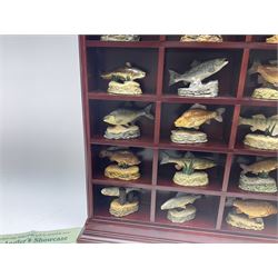 Twenty Four Danbury Mint models of fish, The Angler's Showcase, each with accompanying information card, in wooden wall mounted display shelf, with title plaque, display shelf H61cm L54cm