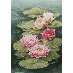 Bobbie Simmons (British late 20th century): 'Water Lily', watercolour signed, titled with label verso 42cm x 29cm