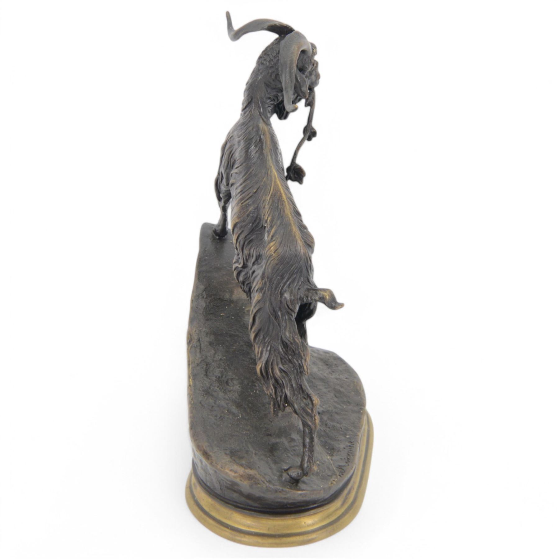 After Jules Moigniez, bronze figure of a goat climbing a rock, on oval plinth, inscribed signature, H28cm