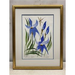 Ben Maile (British 1922-2017): 'Titicaca Iris', gouache signed titled and inscribed 'For Dorothy' 36cm x 25cm 
Provenance: a gift to the vendor from the artist