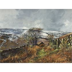 Tom Harland (Yorkshire 1945-2012): 'Dale Head - Farndale', oil on board signed, inscribed verso 44cm x 59cm