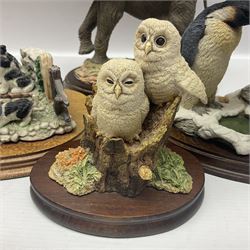 Border Fine Arts figure 'Two Owlets', together with Country Artists figures, 'Bull Elephant' and 'Penguin Family' and a Leonardo Border Collie group figure, tallest H22.5cm