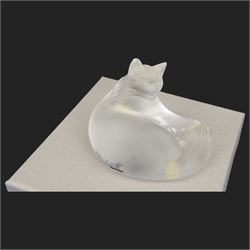 Lalique glass cat in recumbent pose, signed to base, with original box, H3cm