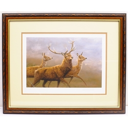 Robert Fuller (British 1972-): Running Deer, limited edition colour print signed and numbered 37/850 in pencil 24cm x 33cm
