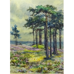  Heathland Landscape, 20th century watercolour signed and dated 1917 by Edith Fisher 42cm x 30cm  