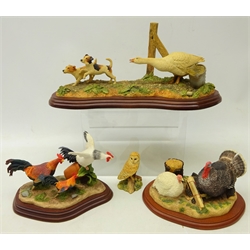  Border Fine Arts group of a goose chasing dogs 'Pulling a Fast One', L31cm, two other Border Fine Arts groups of farmyard poultry, 'Turkey's - Bronze and White' and 'Running With the Big Boys' and a figure of an owl 'Night Watch' (4)  