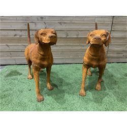 Pair of heavy cast iron garden Hunting dogs - THIS LOT IS TO BE COLLECTED BY APPOINTMENT FROM DUGGLEBY STORAGE, GREAT HILL, EASTFIELD, SCARBOROUGH, YO11 3TX
