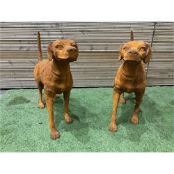  Pair of heavy cast iron garden Hunting dogs - THIS LOT IS TO BE COLLECTED BY APPOINTMENT FROM DUGGLEBY STORAGE, GREAT HILL, EASTFIELD, SCARBOROUGH, YO11 3TX