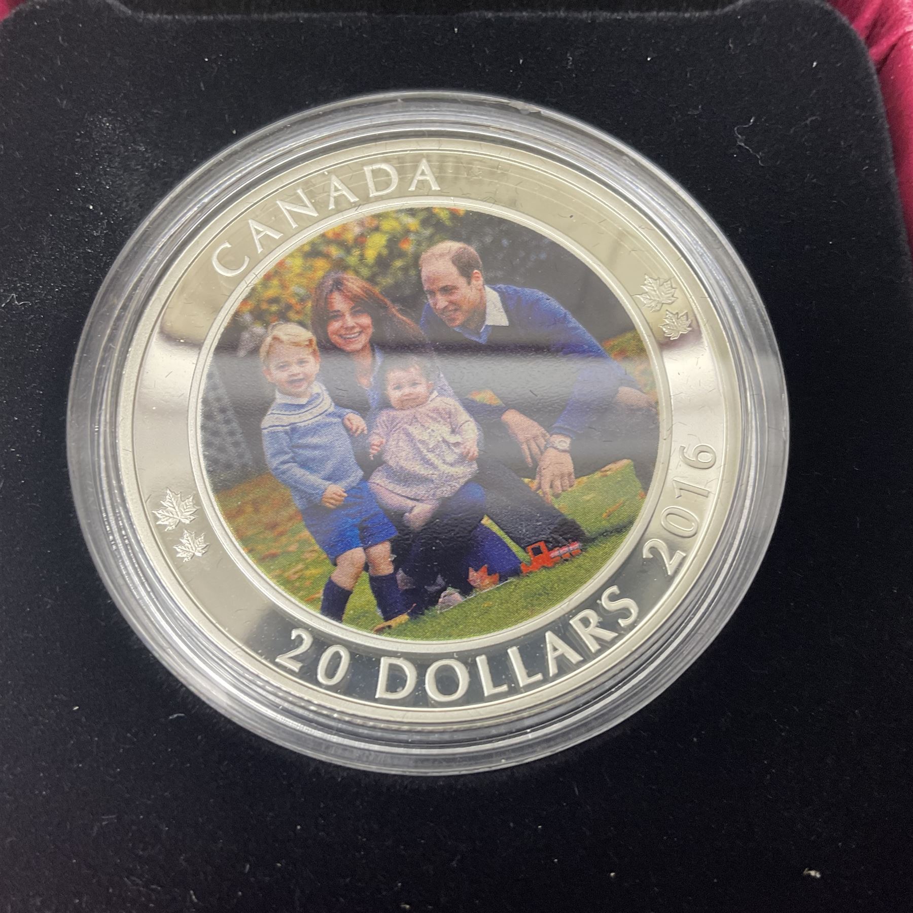 Eleven Royal Canadian Mint fine silver twenty dollar coins, including 2016 'A Royal Tour', 2017 'A Platinum Celebration', 2018 'A Nation's Mettle The Dieppe Raid', 2019 'Give Peace A Chance 50th Anniversary' etc, all cased with certificates