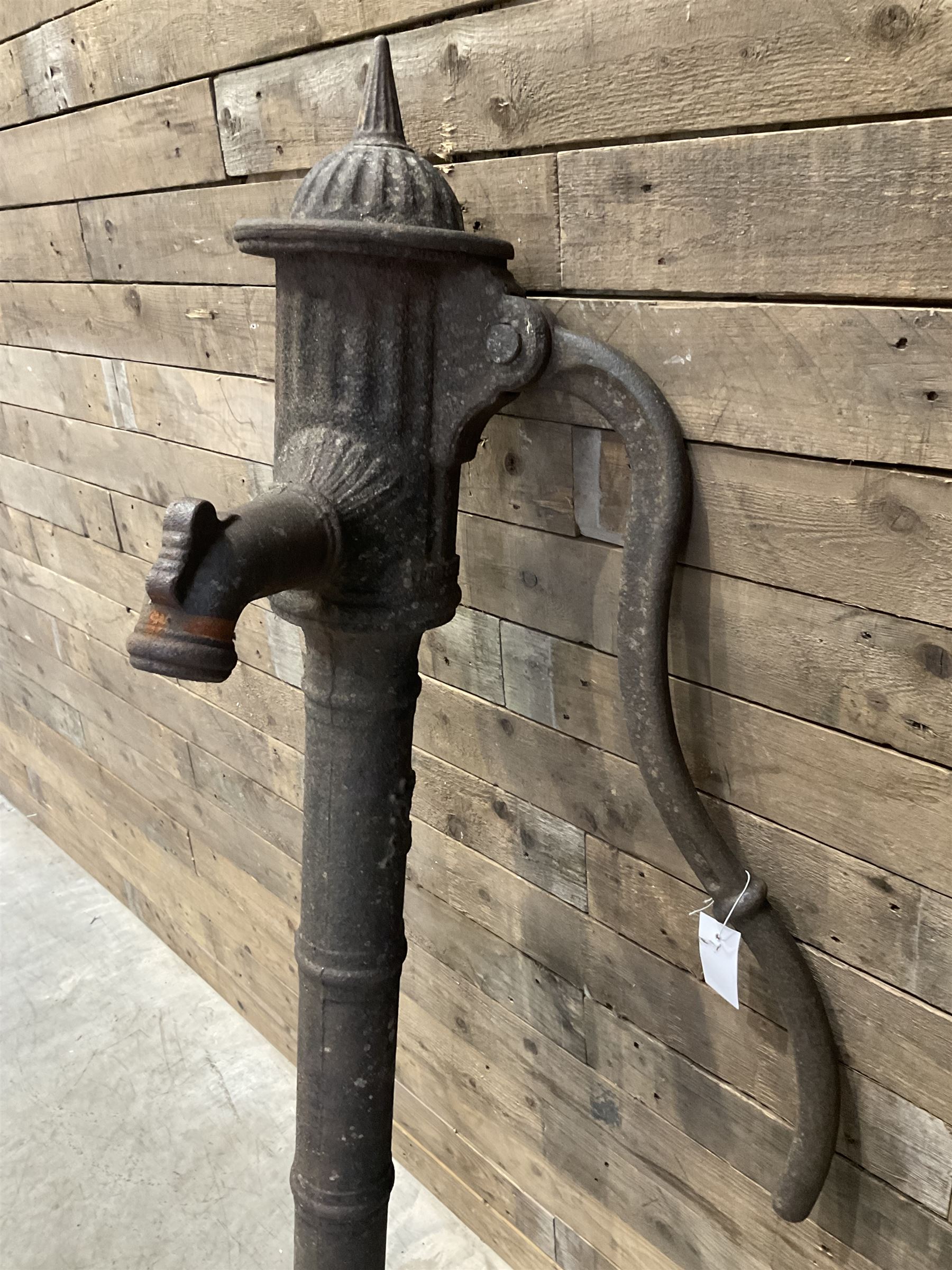 19th century cast iron water pump, lion crest with registration mark
