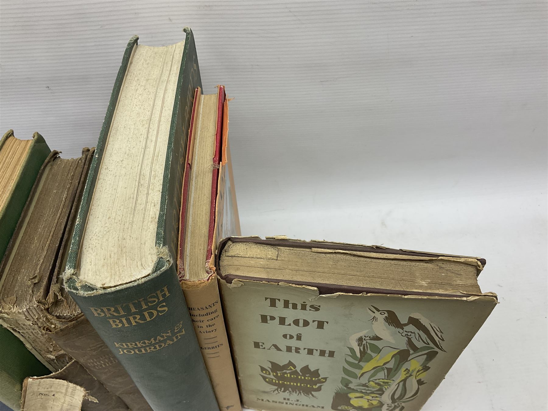 Books - Natural History - Robert Mudie, Mudies British Birds, The Feathered Tribes of the British Isles, two volumes, second edition, Whittaker & Co., Ave Maria Lane, London, 1735, chromolithographic plates, Peter Scott, Morning Flight, A Book of Wildfowl, Hazell, Watson & Viney Ltd, London and Aylesbury, 1947, F B Kirkman & F C R Jourdain, British Birds, London T C & E C jack Limited, Edinburgh, 1932, plus other examples on ornithology, (7)


