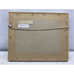 William J Mann (Scarborough early 20th century): 'The City Square Las Palmas' 'Gran Canaria' 'The Road to San Mateo' & 'Borganvillea Las Palmas' , set of four watercolours signed and one dated '32, 14cm x 22cm (4) 
Notes: Mann was a member of the Fylingdales Group of Artists and lived in Newby, Scarborough.