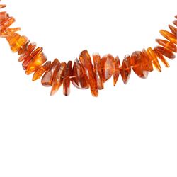 Baltic amber graduated chip / bead necklace 