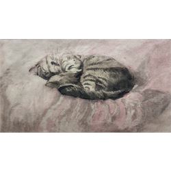 Attrib. Gwen John (British 1876-1939): Tabby Cat Sleeping, watercolour unsigned 11.5cm x 21cm