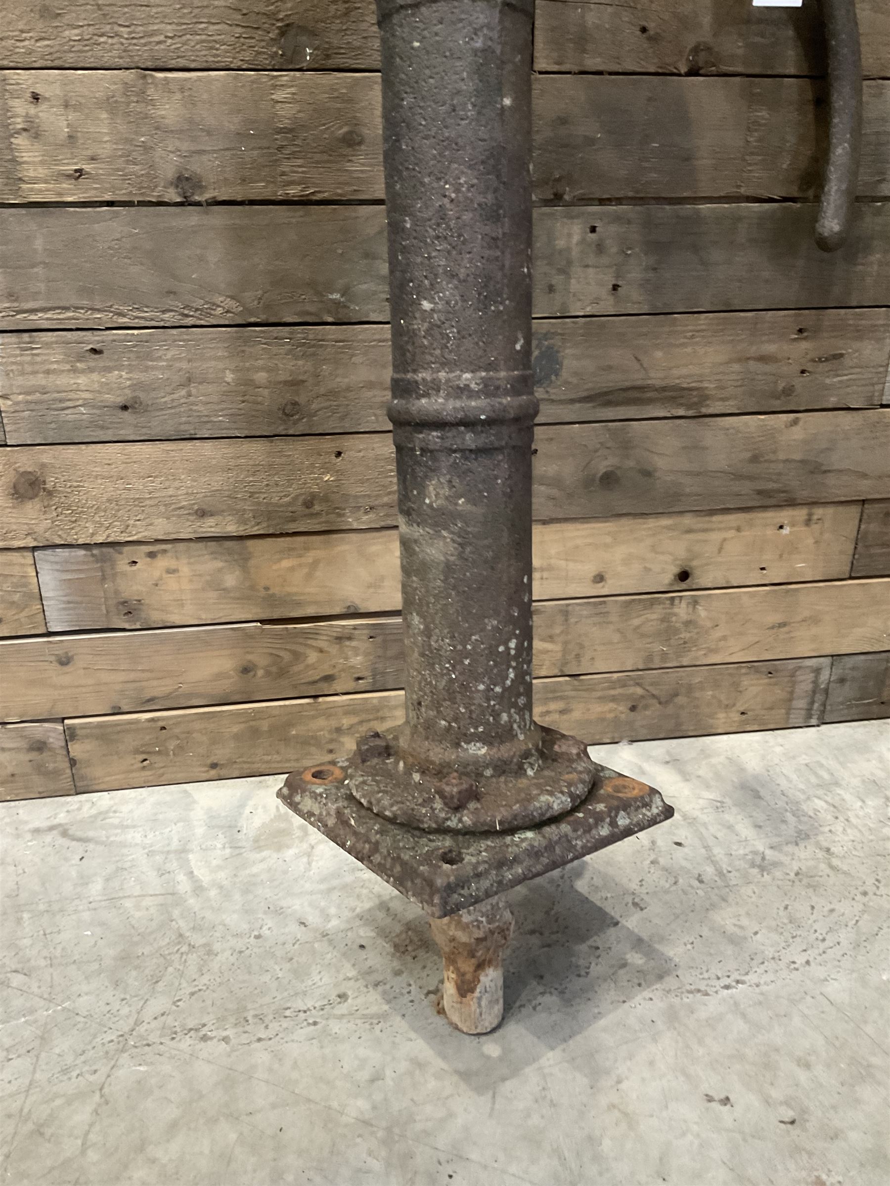 19th century cast iron water pump, lion crest with registration mark