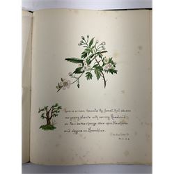 Collection  of 'the Flowers of Sheakspeare' bound in a book, approximately twenty nine studies in watercolour, each work detailing the act the flower is mentioned, together with the tapestry book by Candee. 