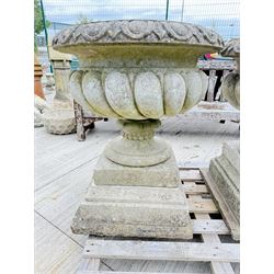 Pair of large weathered Country House Haddonstone garden urns, acanthus carved rim above gadrooned bowl, beaded detailing to the neck, raised on stepped double plinth base
