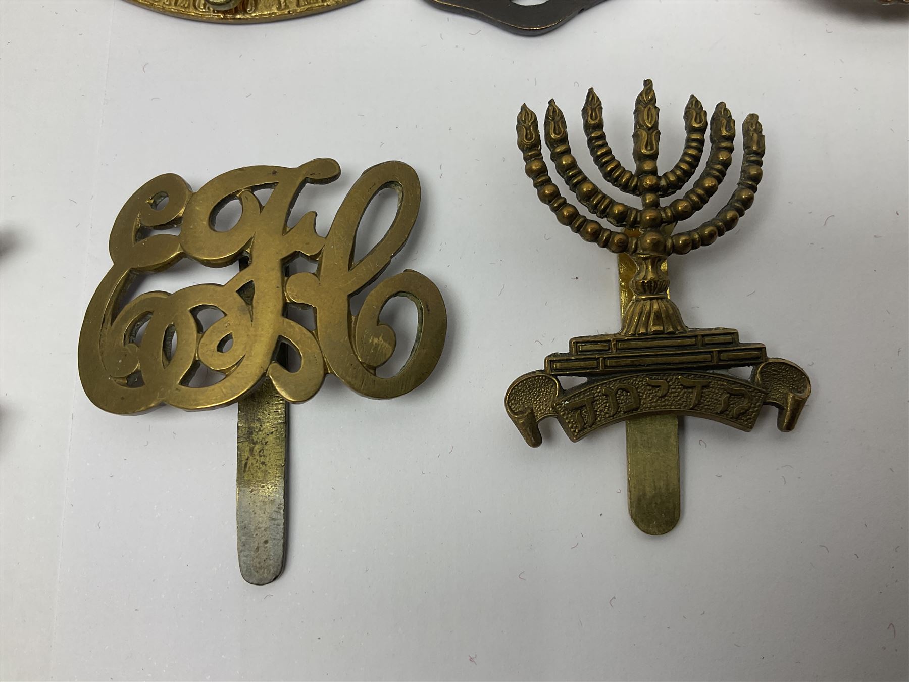 Seventeen cap badges including Expeditionary Forces Canteen, Machine Gun Corps, Tank Regiment, Jewish Battalions, Ordnance Corps, Medical Corps, Cyclist Corps, RFC & RAF, Veterinary Corps, Drake battalion etc (17)