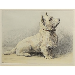  West Highland Terrier, etching after Herbert Thomas Dicksee (British 1862-1942) initialled in the plate 24cm x 32cm  