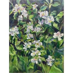 Catherine Tyler (British 1949-): 'Apple Blossom', oil on canvas signed, titled verso 61cm x 46cm (unframed)