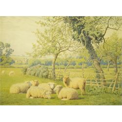 William Sidney Cooper (British 1854-1927): Sheep Resting in Pasture, watercolour signed an...