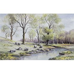 Leonard W Owens (British 20th century): 'Pheasants by a Farm near Hutton-Le-Hole', oil on canvas signed and dated 1986 together with Chris Hammond  (British 20th century): 'Springtime', watercolour signed, titled and dated 1990 verso max 30cm x 45cm (2)