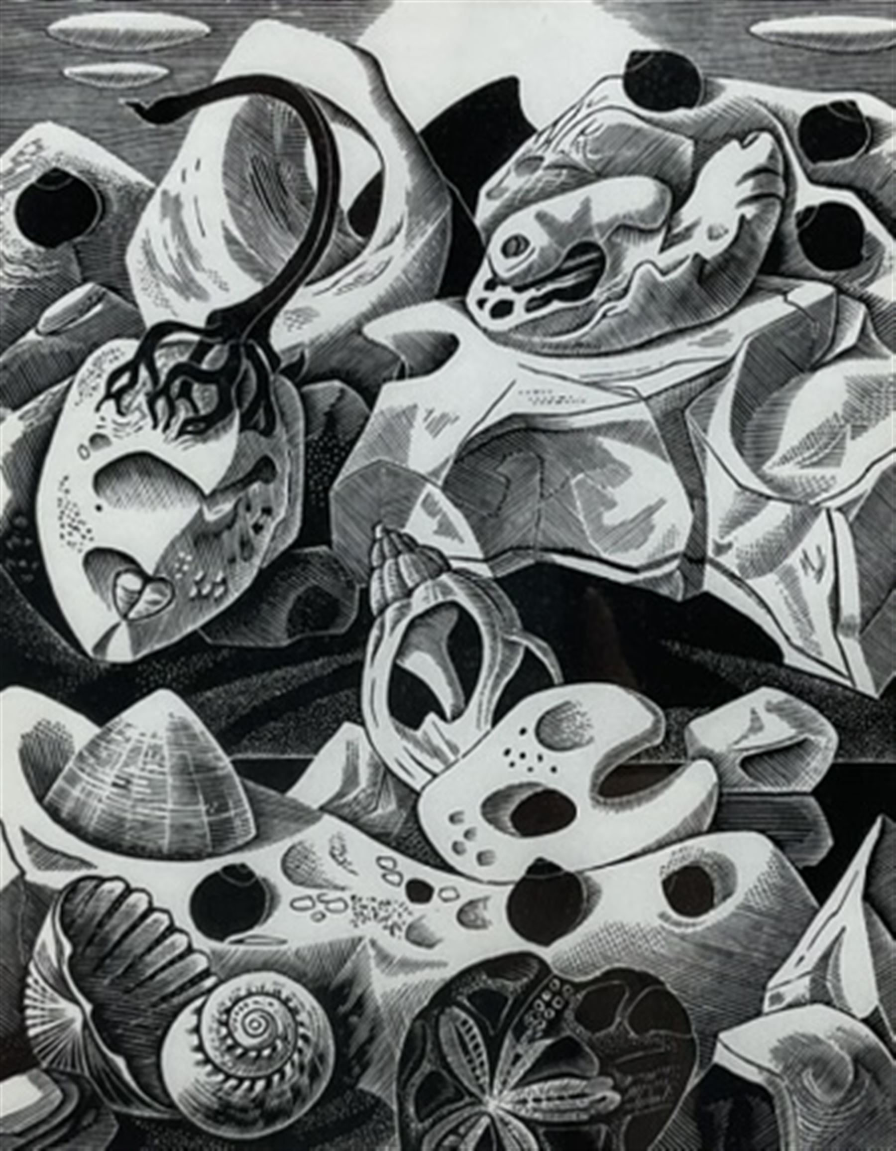 Monica Poole (British 1921-2003): 'Rock Crevice', wood engraving signed titled and numbered 9/60 in pencil, further titled and dated 1980 with artist's address verso 15cm x 12cm