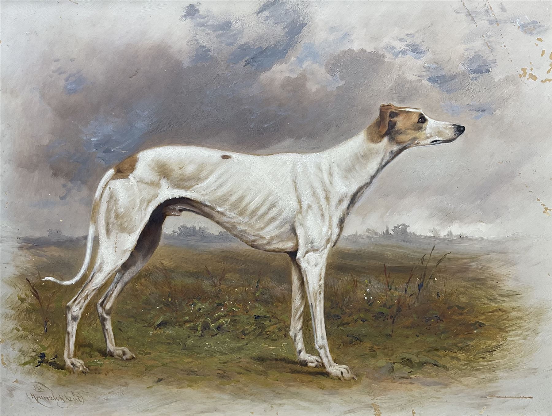 Hannah H Kent (British late 19th century): ‘Marquis of Lorne’ Greyhound Portrait, oil on board signed, titled on mount 33cm x 43cm 