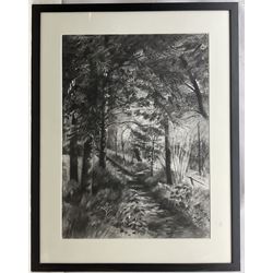Andy Hawkins (British Contemporary): Shaded Woodland Path, charcoal signed 78cm x 56cm 
