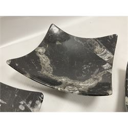Set of four square dishes in two sizes, each with orthoceras and goniatite inclusions, age: Devonian period, location: Morocco, large dish D16cm