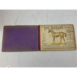 A. Schwarz, The Horse; Its External and Internal Organisation, An Illustrated Representation and Brief Description, Revised and Edited by George Fleming, London, George Philip & Son, with fold out anatomical plates