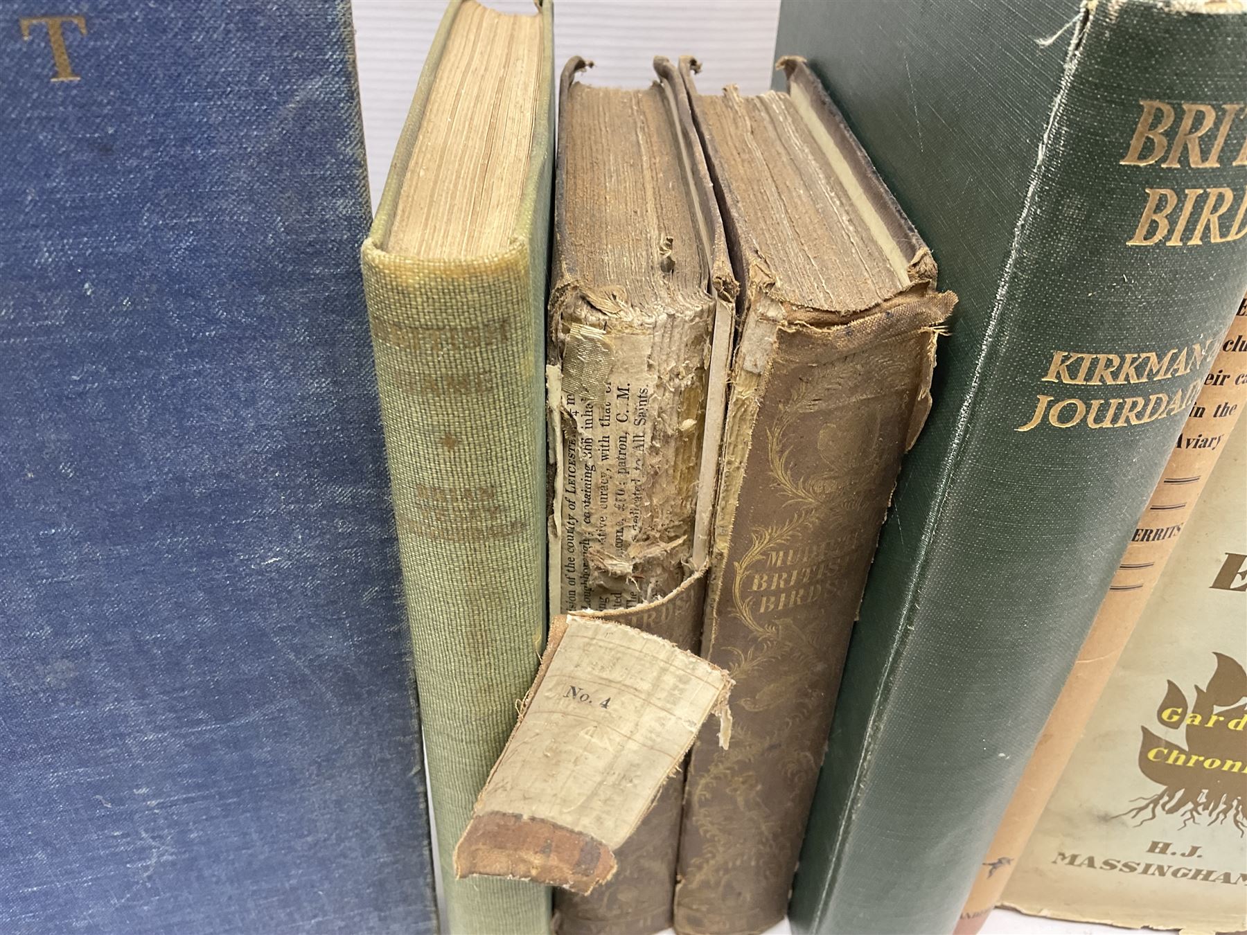 Books - Natural History - Robert Mudie, Mudies British Birds, The Feathered Tribes of the British Isles, two volumes, second edition, Whittaker & Co., Ave Maria Lane, London, 1735, chromolithographic plates, Peter Scott, Morning Flight, A Book of Wildfowl, Hazell, Watson & Viney Ltd, London and Aylesbury, 1947, F B Kirkman & F C R Jourdain, British Birds, London T C & E C jack Limited, Edinburgh, 1932, plus other examples on ornithology, (7)


