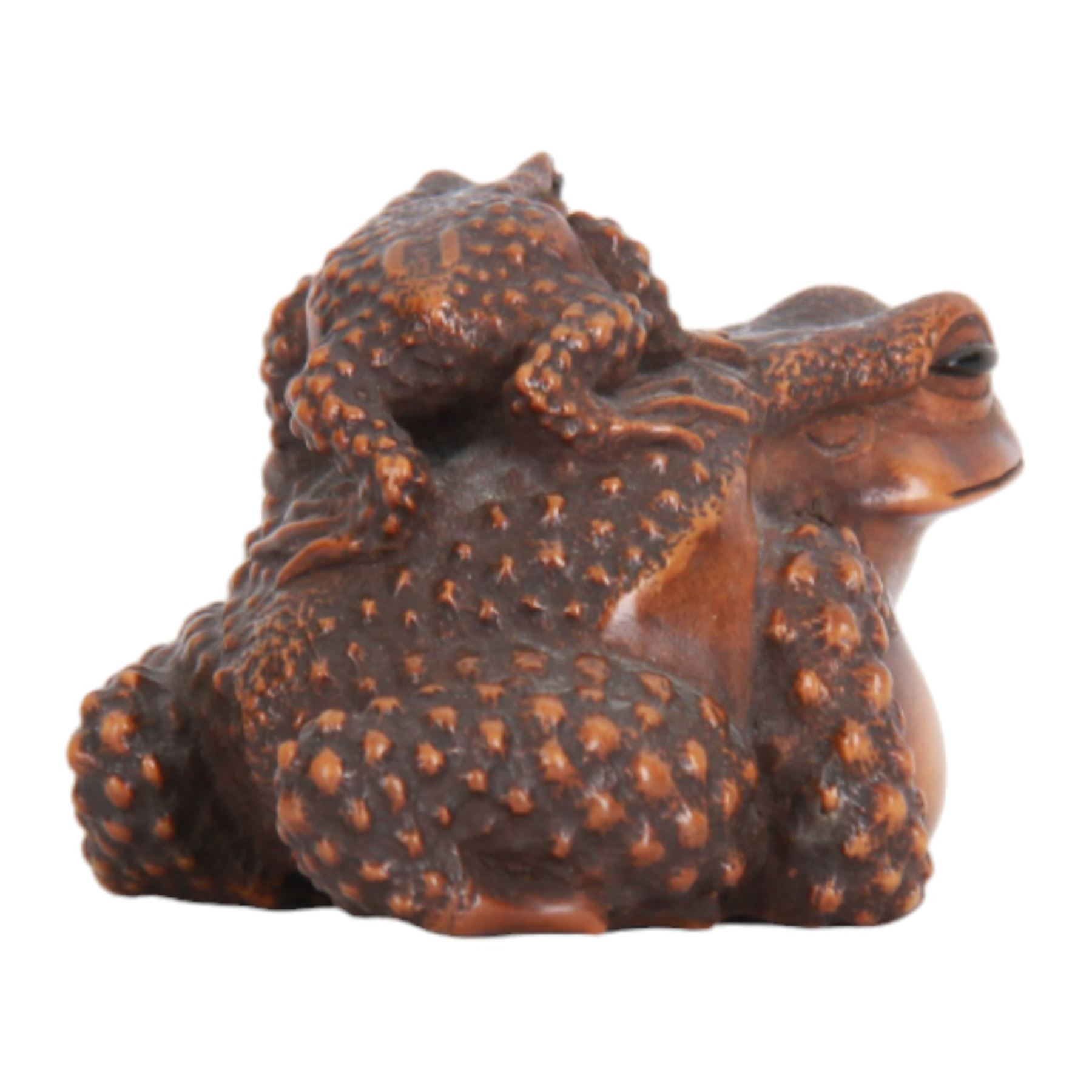 Japanese Edo Meiji period carved wooden netsuke, naturalistically modelled in the form of a seated toad with young upon its back, each with textured skin and black horn inlaid eyes, signed beneath for Masanao, Yamada, Ise Province, H4cm L6cm
