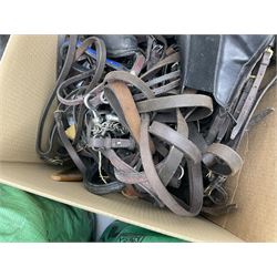 Quantity of horse tack to include bits, bridles, lunging equipment, brushing boots, tail guards, jodpa boots etc  