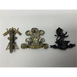 Nine Lancers metal cap badges including 9th, 12th Royals, 24th, 16th Queens and 17th; together with eight various Guards/Dragoons badges (17)