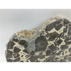 Septarian slice, polished, with a calcite centre and argonite/siderite lines within limestone rock, L26cm, W19cm