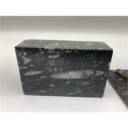 Three piece desk set, comprising letter rack, dish and box with raised Orthoceras to the lid, all with Orthoceras and Goniatite inclusions, age: Devonian period, location: Morocco