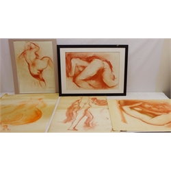  Female Nude Studies, thirteen sanguine on paper studies by Gerard Dureux (French 1940-2014) mostly signed one framed and one other by same hand max 60cm x 75cm unframed (14)  Notes: Although he initially achieved commercial success in Paris, later in life Dureux became increasingly troubled and unstable, electing to withdraw from society and move to the French countryside to live as a recluse  