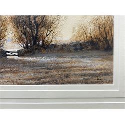 Mike Nance (British Contemporary): 'Hazy Morning' 'Sunset' and 'Poppies', three acrylic on board signed, labelled verso max 24cm x 70cm (3)