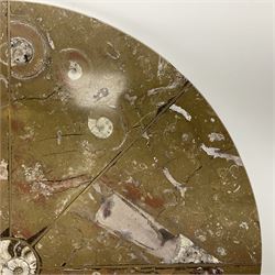 Circular limestone table top, with Orthoceras and Goniatite inclusions; age: Upper Devonian, location: Morocco, D45cm