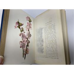 Hulme, F. Edward; 'Familiar Wild Flowers' with coloured plates, five volumes, together with Hulme, F. Edward; 'Familiar Garden Flowers' described by Shirley Hibberd with coloured plates, five volumes, each with coloured title labels 