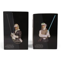 Two Gentle Giant limited edition Star Wars Collectible Mini Busts, Luke Skywalker (Hoth) no. 1289/2400 and Han Solo (Hoth) 1016/2200, both boxed with certificates of authenticity