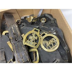 Large collection of 19th century and later horse brasses and leather straps 