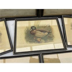 Hunting scenes, set of four 19th/20th century coloured engravings pub. R Ackerman London 1832, 25cm x 31cm; a set of three prints of Birds and pair Hunting prints after Alken (9)