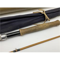 Hardy 'Continental Special Palakona' 8' 4