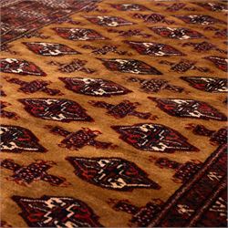 North East Persian Turkoman hand-knotted rug, camel brown field decorated with repeating rows of octagonal guls, interspersed with small geometric motifs enclosed within narrow guard borders in a palette of madder red, brown, and ivory, with cotton fringe ends  