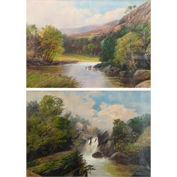 Walter Linsley Meegan (British c1860-1944): Waterfall and River Landscapes, pair oils on c...