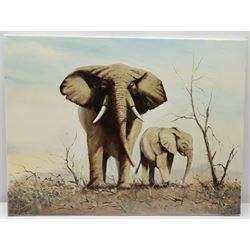 Joe Townend GRA (British 1946-): Elephants on the Savannah, oil on canvas signed 45cm x 60cm (unframed)