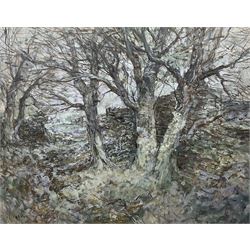 Alfred Ainslie O'Brien (Northern British 1912-1988): Stone Walls and Trees, oil on panel signed 47cm x 60cm